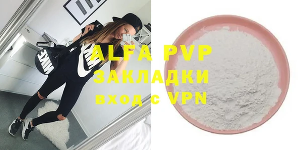 стаф Козловка