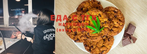 стаф Козловка