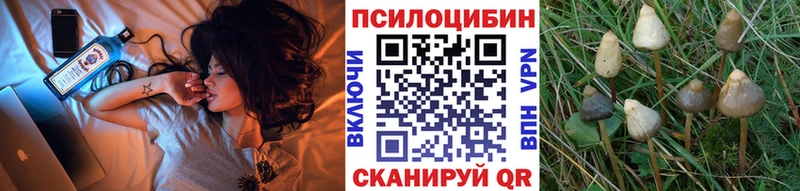 Купить закладки Ладушкин Галлюциногенные грибы GOLDEN TEACHER